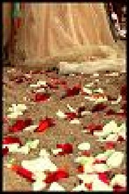 casament rosa 25 any casats 092 petit.JPG