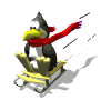 Avatar de l’usuari