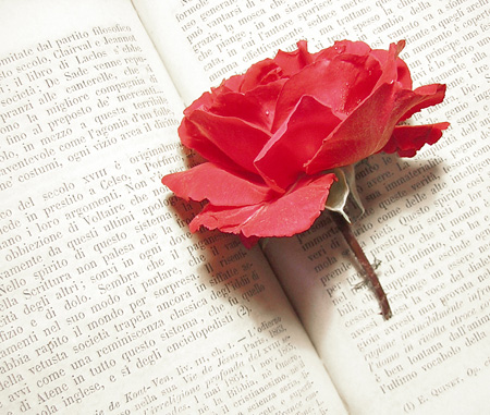 rosa-book